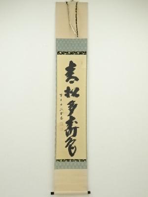 前大徳藤井誡堂筆　「青松多寿色」一行書　肉筆紙本掛軸（共箱）